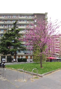 Foto Appartamento in Via Capecelatro 81, Milano San Siro di 43 m²