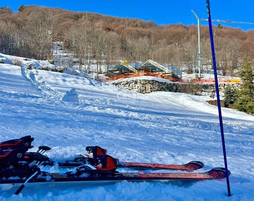 immagine annuncio 10 di 15