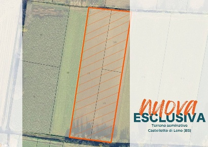 Foto Terreno agricolo in Cascina Cucchetta 8, Leno di 7700 m² in vendita