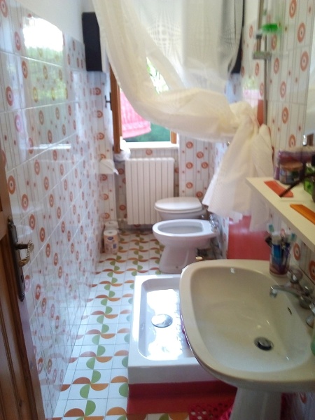 immagine annuncio 5 di 12