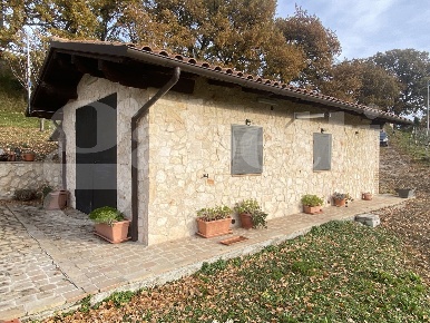 Foto Rustico in Via DON GIULIO BARABANI 1, Assisi di 12250 m² in vendita