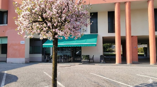 Foto Bar a Fontanafredda Vigonovo Fontanafredda di 71 m² con 3 locali