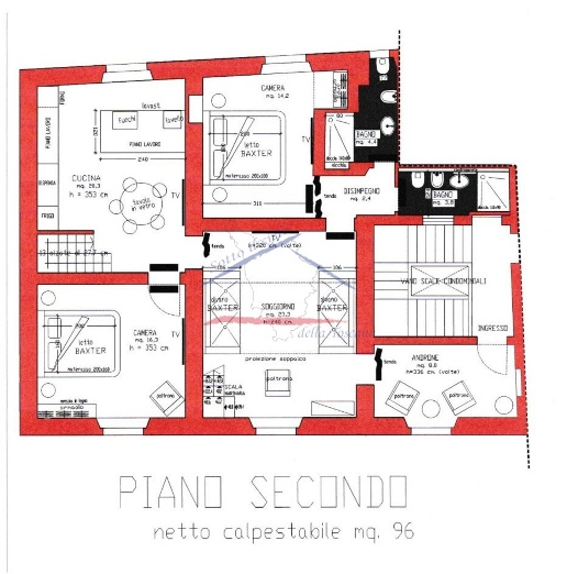 immagine annuncio 11 di 14