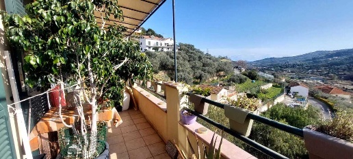 Foto Appartamento in Via Strada delle Ginestre, Dolcedo Isolalunga di 45 m²