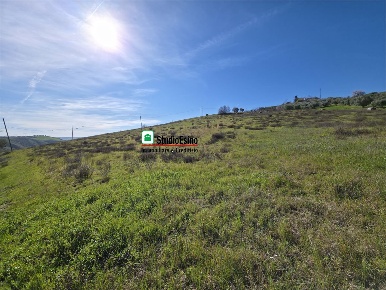 Foto Terreno a Appignano del Tronto di 42800 m² in vendita