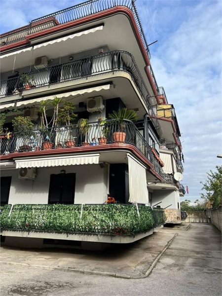 immagine annuncio 0 di 6