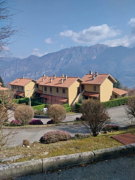 immagine annuncio 11 di 12