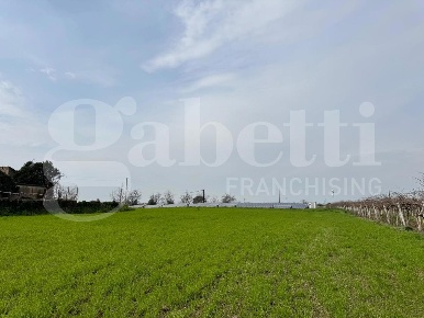 Foto Terreno agricolo in Pezzagrande, Vitulazio di 10000 m² in vendita