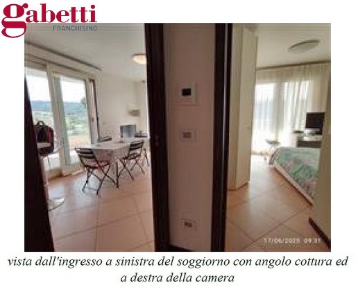 immagine annuncio 4 di 14