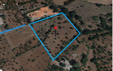 Foto Terreno agricolo in C.DA S LUCIA, Monopoli Centro di 10000 m²