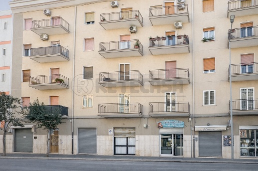 appartamento in vendita a Bisceglie