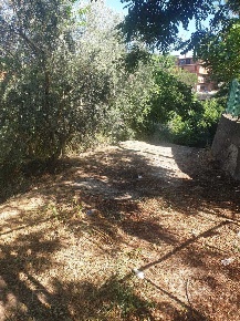 Foto Terreno agricolo in Via Giulio Roncacci 1, Morlupo Centro di 10300 m²