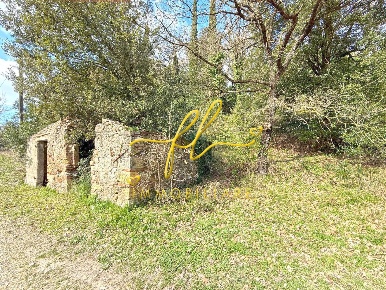 Foto Terreno agricolo a Castellina Marittima di 11550 m² in vendita