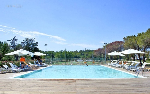 immagine annuncio 10 di 11