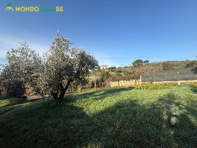 Foto Terreno agricolo in strada dello storello snc, Palombara Sabina