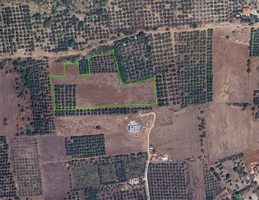 Foto Terreno agricolo in Via Stradone Delle Grotte, Priverno di 13100 m²