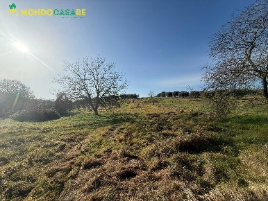 Foto Terreno agricolo in via dei marsi snc, Palombara Sabina di 4900 m²