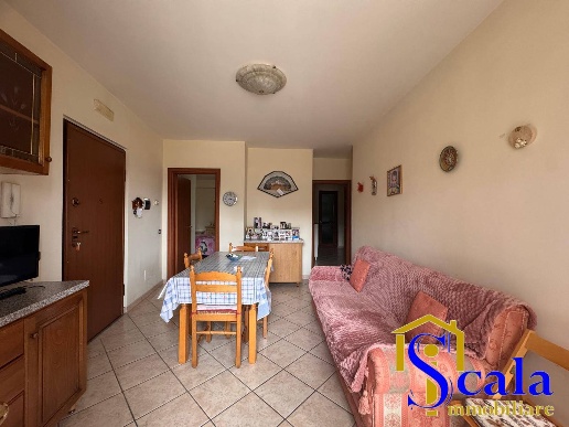 immagine annuncio 1 di 14