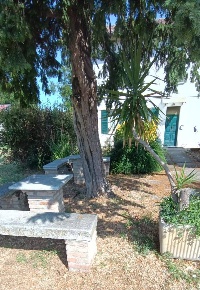 Foto Appartamento a Barbianello Centro di 50 m² con 2 locali in affitto