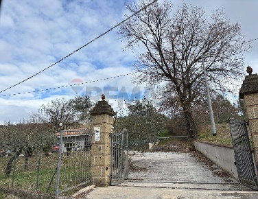 Foto Terreno agricolo in Via Felcio, Ruviano di 20500 m² in vendita