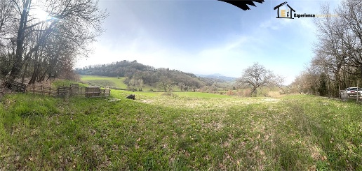 Foto Terreno in Via Colonnetta, Montopoli di Sabina di 31000 m² in vendita