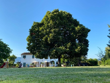 Foto Rustico a Buggiano Borgo A Buggiano di 465 m² con 15 locali in vendita