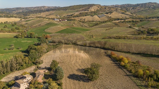 Foto Terreno agricolo in sasso domo, Serra San Quirico di 20000 m²