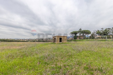 Foto Rustico in Via Di San Matteo 50, Roma Tor Vergata di 30 m² in vendita