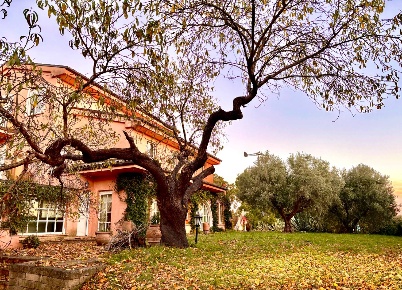 Foto Villa unifamiliare in contrada cavallino, Civitanova Marche di 1000 m²