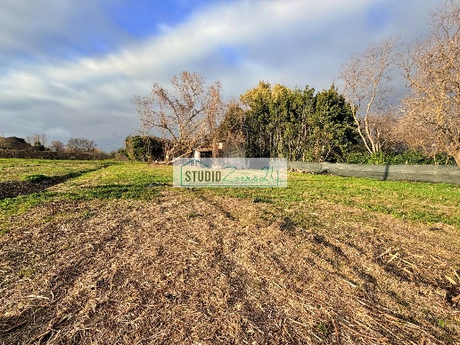 immagine annuncio 2 di 14