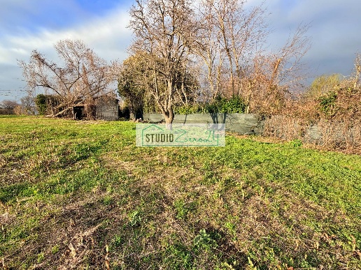 immagine annuncio 4 di 14