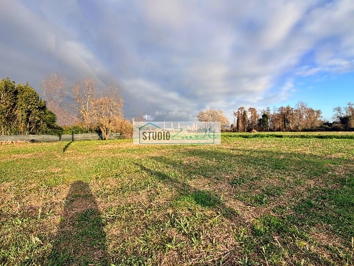 immagine annuncio 9 di 14