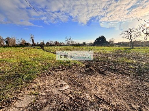 immagine annuncio 10 di 14