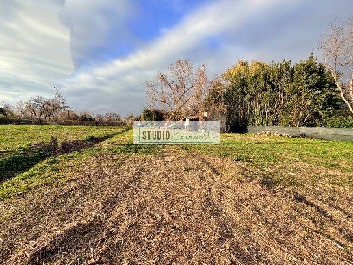 immagine annuncio 11 di 14