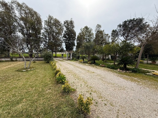 immagine annuncio 2 di 11