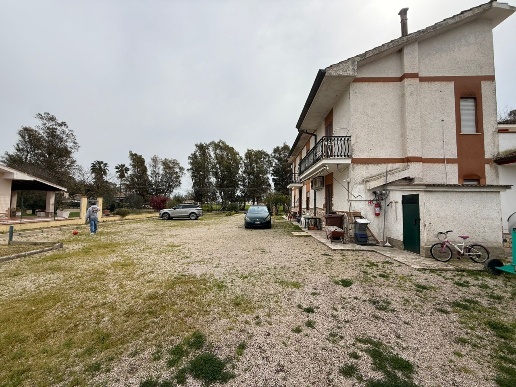 immagine annuncio 6 di 11