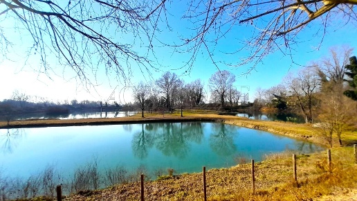 immagine annuncio 0 di 15