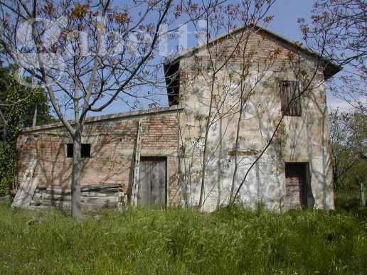 immagine annuncio 3 di 8