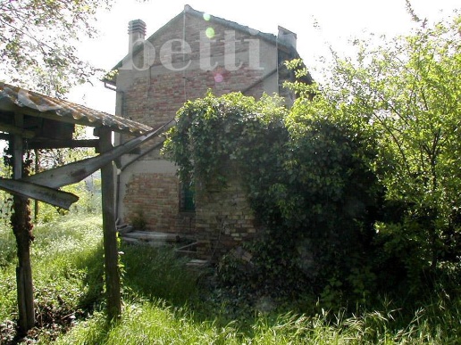 immagine annuncio 5 di 8