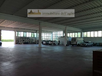 Foto Capannone industriale in VIA pozzi 24, Carpenedolo Centro di 1000 m²