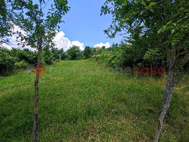 Foto Terreno residenziale in Via Vaccheria 7, Montoro Banzano di 5000 m²