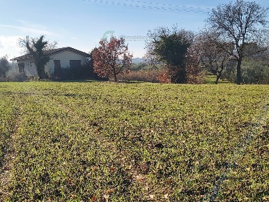 Foto Terreno agricolo a Riccione Fontanelle di 12500 m² in vendita