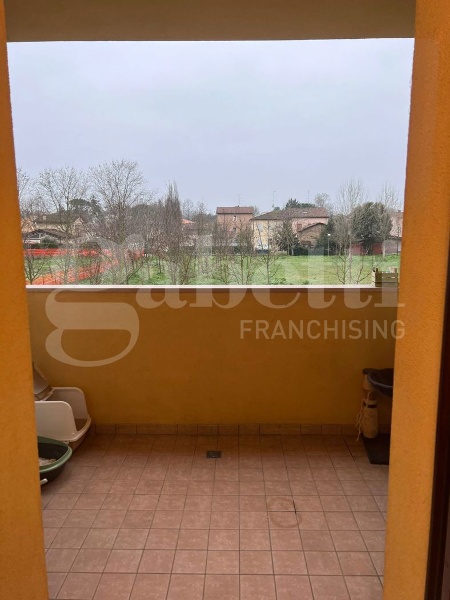 immagine annuncio 6 di 11