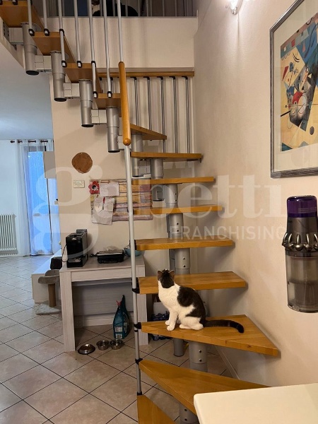 immagine annuncio 8 di 11