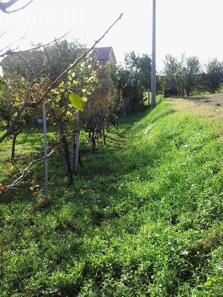 immagine annuncio 4 di 7