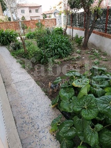 Foto Villa bifamiliare in Via LITARRU 24, Oristano Centro di 251 m²