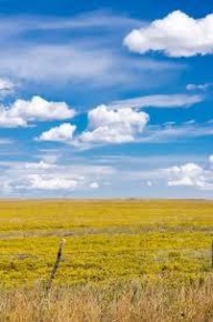Foto Terreno agricolo a Collesalvetti Stagno di 6192 m² in vendita