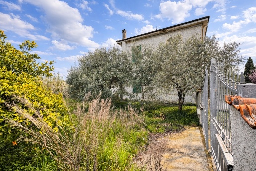 immagine annuncio 4 di 14