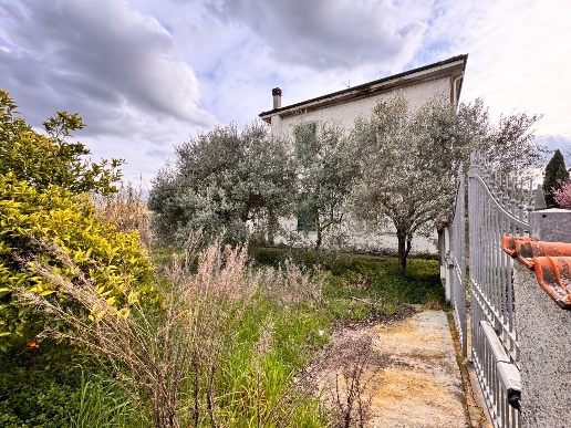 immagine annuncio 7 di 14