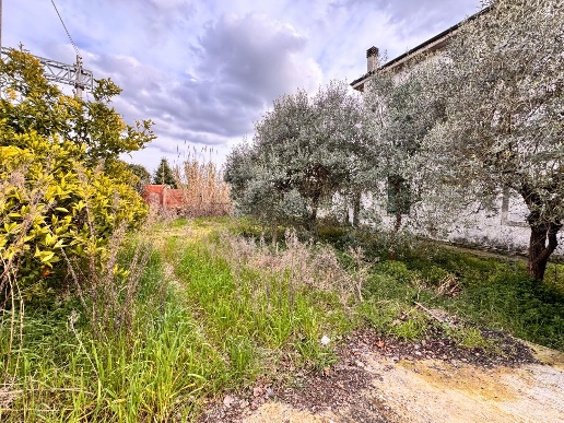 immagine annuncio 8 di 14